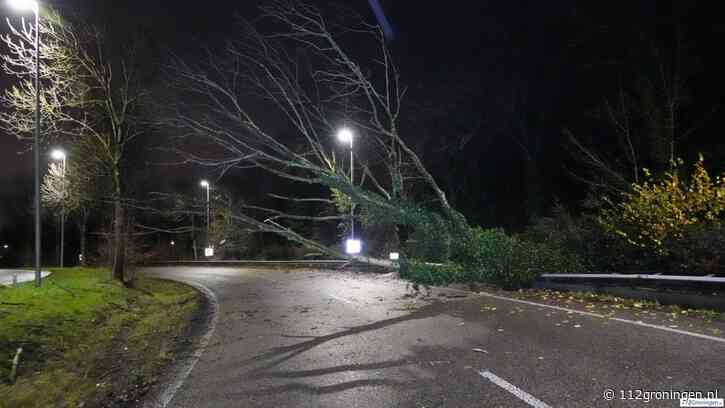Diverse stormschades door storm `Conall`: Bomen omver op de N46 & bij Ikea