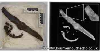 Project to unravel mysteries of Hengistbury Head collections