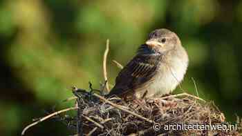 Kabinet zet streep door verplichte nestvoorziening bij nieuwbouw