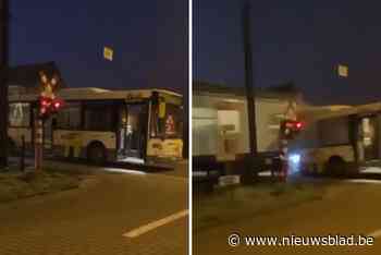 Beelden tonen hoe bus van De Lijn geramd wordt door trein terwijl reizigers op straat toekijken