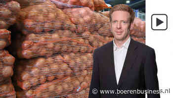 Een maand vooruitkijken is brug te ver op uienmarkt