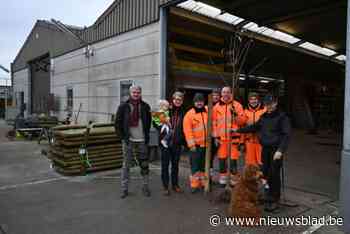 Gemeentelijke bomenactie zorgt voor ruim 400 nieuwe bomen en 1.314 meter nieuwe hagen