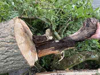 Ab 2. Dezember: Baumarbeiten in Großenbaumer Straße und Mühlenbergheide