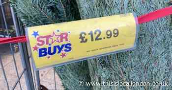 Cheapest real Christmas trees from £11.99 at Home Bargains, Aldi and Lidl