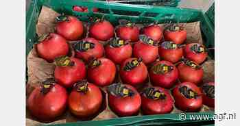 "We wilden ze in Europa afzetten, mits men bereid was de prijs te betalen die ze in Azië betalen"