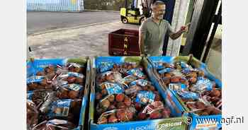 Tropisch fruit uit Réunion: beperkte volumes maar hoge kwaliteit