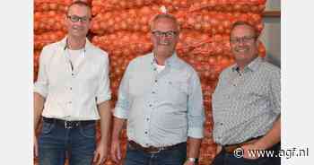 "Uienexport loopt als een speer, maar de hamvraag blijft wat er na Kerst gebeurt"