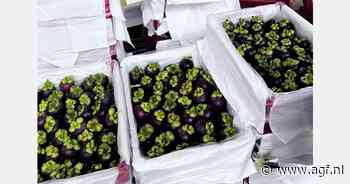 "We kunnen tot 32 ton mangosteen per week leveren"