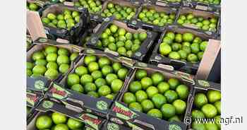 "Stabiele afzet van limes tot Kerst verwacht"