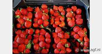 "Krachtenbundeling meer dan wenselijk om het hoge serviceniveau vast te houden"