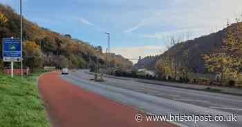A4 Portway set for January and February closures as infected trees to be felled