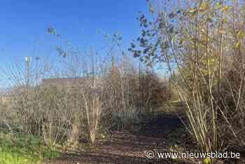 Vijf jaar na aanplanting is eerste buurtbos ook toegankelijk voor publiek