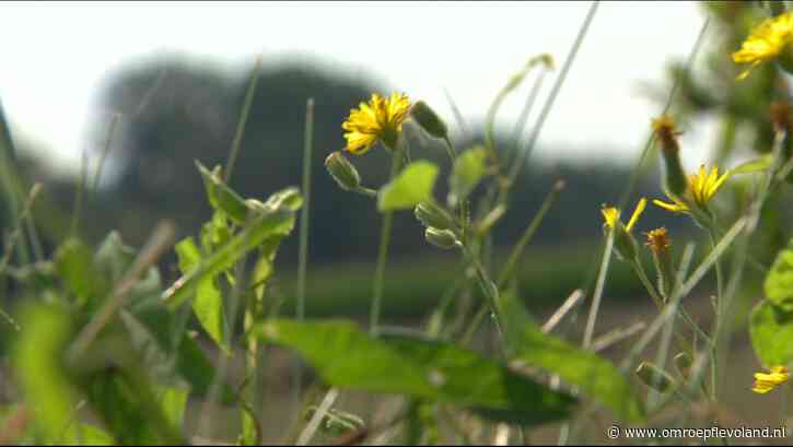 Flevoland - Provincie krijgt bijna 20 miljoen voor herstel van natuur