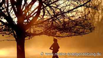 Auch Herbst 2024 zu warm