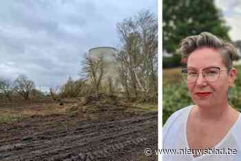 Terrein van oude kolencentrale wordt getransformeerd tot natuurpark: “Rustplek voor zowel mens als dier”