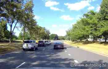 Video: kijk uit voor overstekende eendjes