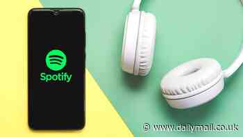 Spotify drops a MAJOR teaser for Wrapped 2024 - and eagle-eyed fans think they've cracked all 9 references