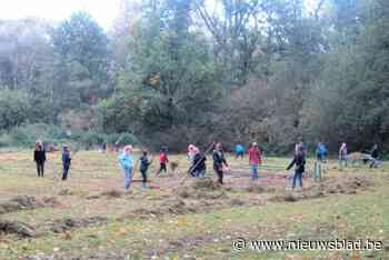 Natuurpunt koopt gronden in Broekelei: “Zal  altijd natuur blijven”