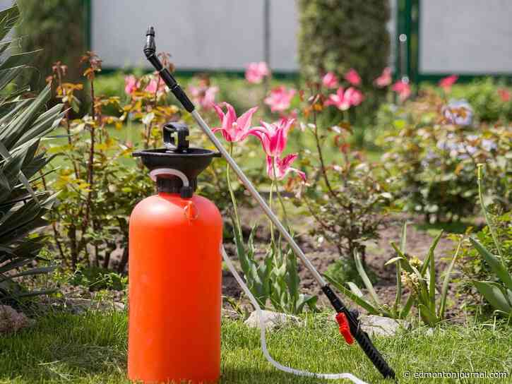 Growing Things: Reckoning with fertilizer damage