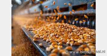 Training/demonstratie bio-graansortering in Wallonië