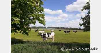 Omschakeldag voor melkveehouders: vrijdag 6 december