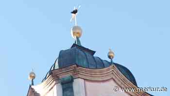 Toter Vogel im Kuppelkreuz