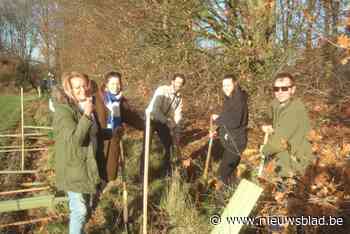 Textielbedrijf maakt Overslagbos een stukje groter: “Omdat we duurzaamheid belangrijk vinden”