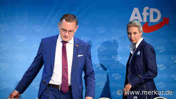 AfD verschärft Kurs vor Bundestagswahl: Partei will Abtreibungen weitgehend einschränken
