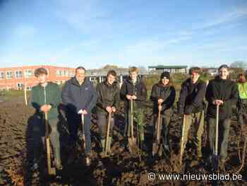 Ondanks de kou steken leerlingen van LAB-school handen uit de mouwen voor ‘tiny forest’: “Hier zullen we later zelf nog plezier aan beleven”