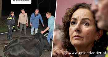 Nieuws van de dag |  Zeven mannen voor de rechter na geweld rond Ajax - Maccabi • Khalid Oubaha spreekt zich uit na redding horecazaken