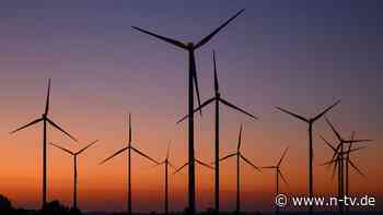 RWE-Managerin im Interview: "Genehmigungs-Tempo bei Windkraft steigt deutlich"