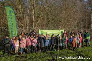 Leerlingen De Wingerd planten 1.800 boompjes in Den Haert