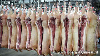 Vraag naar varkens? Ja. Hogere prijzen? Nee!