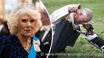 „Hab mit ihr gefühlt“: König Charles kann Königin Camillas Leid nicht mit ansehen