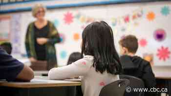 Funding foul-up forces Manitoba school division to cut 93 EAs, leaves mom worried for son