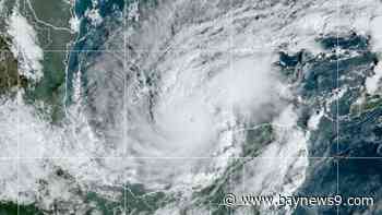 Hurricane Season 2024: a look at how well the models performed