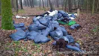 112-nieuws: hennepkwekerij gedumpt in bos • ongeluk met busje