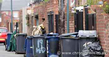 Families could be issued with four bins as Government cracks down on 'wild west' recycling