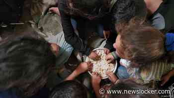 Hongersnood in Gaza zo ernstig dat vrouwen en kinderen voedsel zoeken tussen afval