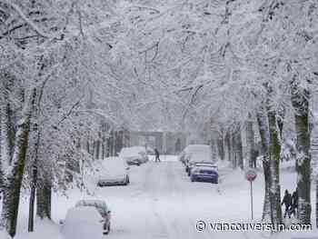Winter storm watch issued as snow, heavy rain expected for B.C.'s north coast and Interior