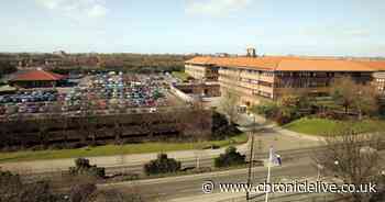 "Clear need" to tackle lack of awareness of sexual health services, says council report