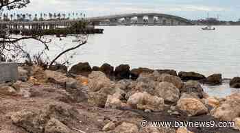 The Bay Park in Sarasota receives $1 million donation to improve shoreline