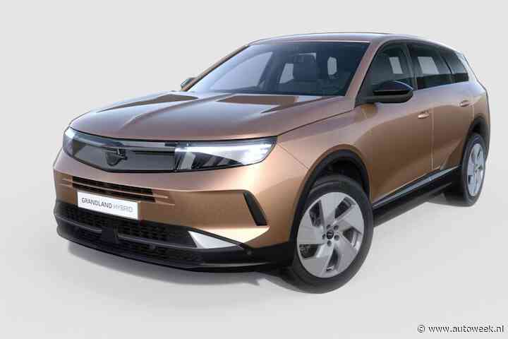 Bij de Opel Grandland is de PHEV wel heel verleidelijk – Back to Basics