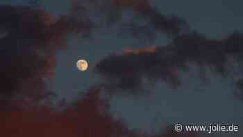 Diesen 3 Sternzeichen steht im Dezember eine schwere Zeit bevor