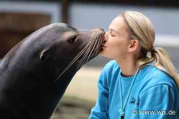 Allwetterzoo: Bekannte Attraktion muss nach 50 Jahren schließen