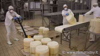 Sospetti, intrighi e un fallimento pieno di ombre. La caduta dell’impero del pecorino