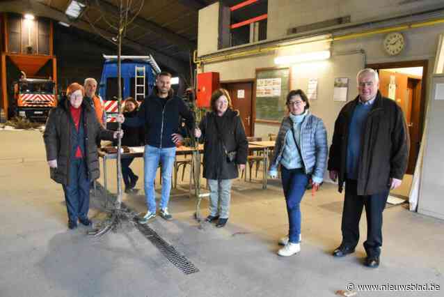 Pepingen schenkt 205 gezinnen een gratis fruitboom