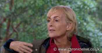 I'm A Celeb fans brand Jane Moore 'disgraceful' after 'unrewarded' dig over exit