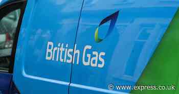 British Gas giving customers half price electricity for Christmas