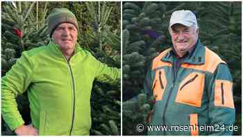 Christbaum-Saison startet: Wie die Tanne lange frisch bleibt – und was sie heuer kostet